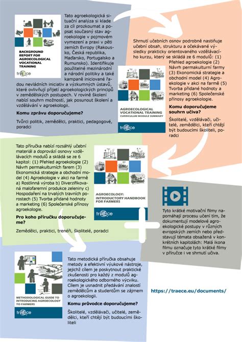 Infografika: Vzhľad a proporcie bígla