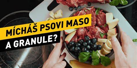 Infografika: Signály, že granule psovi nesedia (zmena chuti, koža, trávenie)