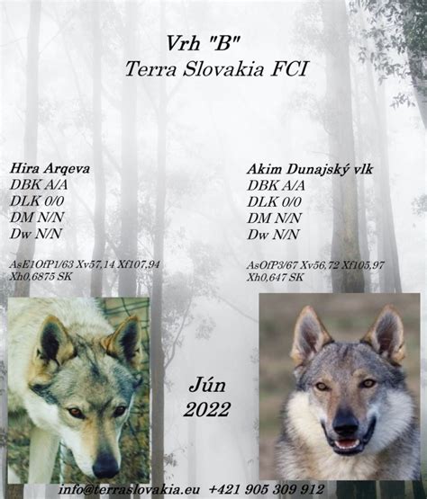 Rastová tabuľka pre československého vlčiaka