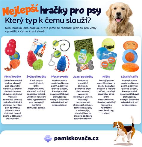 infografika_hračky_psov.png