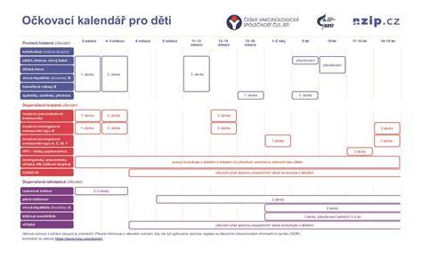 Infografika: Očkovací plán a odčervenie pre šteňa