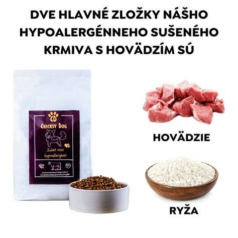 Infografika: hypoalergénne krmivá a doplnky pre psy s kožnými ochoreniami