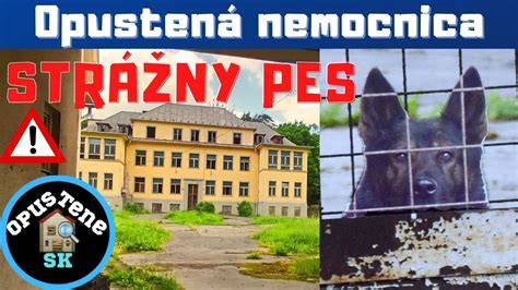 Scéna stráženia objektu moskovským strážnym psom