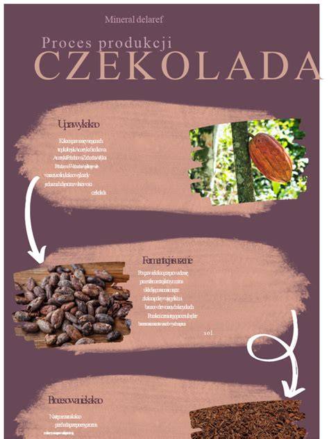 Infografika: proces výcviku policajného psa od výberu po označenie nálezu