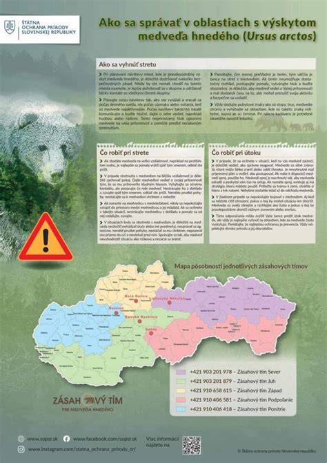 Infografika o tom, ako reagovať na útok psa a čo robiť po incidente: prvá pomoc, kontaktovanie záchrany, očkovanie a právne následky