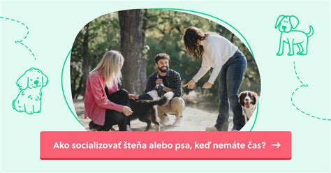 Infografika: Ako správne socializovať šteňa a čo robiť pri kontakte s inými psami