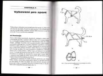 Ilustrácia základných psích povelov