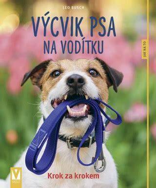 Obrázok: Výcvik bernardína na vodítku