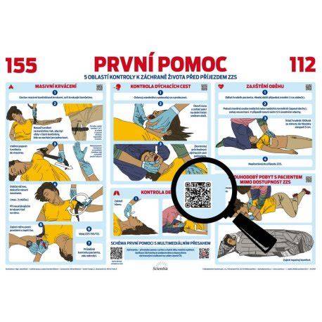 Infografika: ABC prvotnej pomoci pri psu