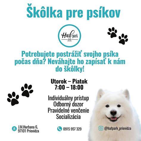 Infografika: Pravidlá výberu salónu pre psov a čo všetko by mal salón ponúkať