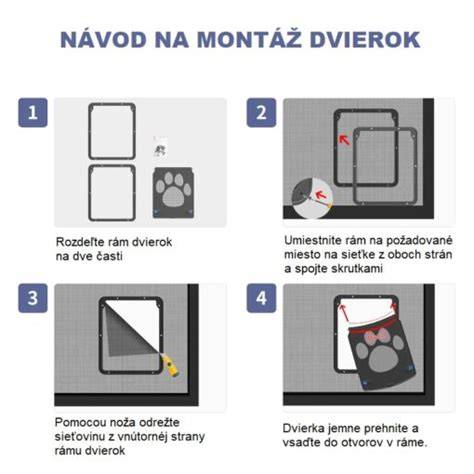 Infografika: Hlavné tipy na fotenie domácich miláčikov v pohybe