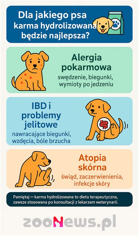 infografika: výživa veľkého psa a odporúčané pomery živín