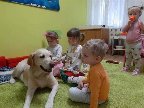 Obrázok: canisterapia s pyrenejským psom