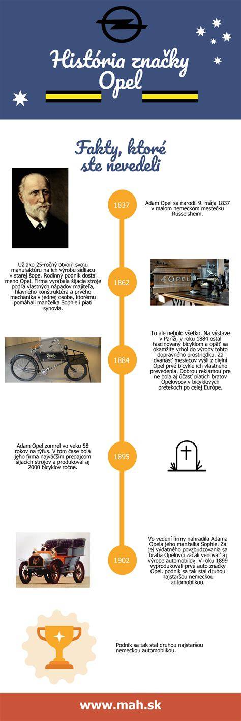 inštruktívna infografika o rozdieloch medzi anglickým a americkým kokršpanielom