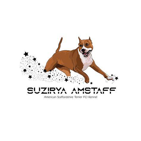 Schéma správneho prístupu k výchove Amstaff a Stafford bulteriéra