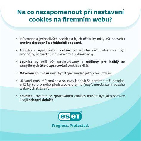 Infografika: Vágny prehľad spracovania cookies a údajov