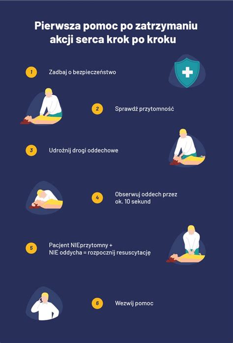 Infografika: Typy zvracania u psov a krok po kroku ako reagovať