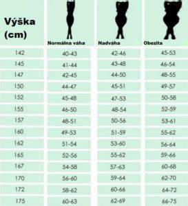 Infografika: Charakteristiky leonbergera, výšky a váhy podľa veku