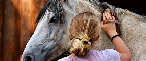 Schéma starostlivosti o srsť Samojeda počas výmeny srsti