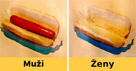 Infografika: Rozdiely medzi mužským a ženským pohlavím psa