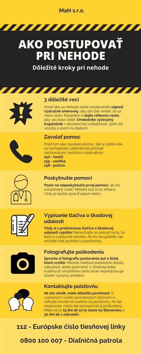 Infografika: Ako rýchlo postupovať pri strate psa