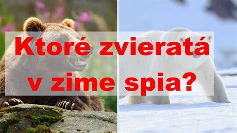 Fotodokumenta: Realita množiteľov a podmienky zvierat