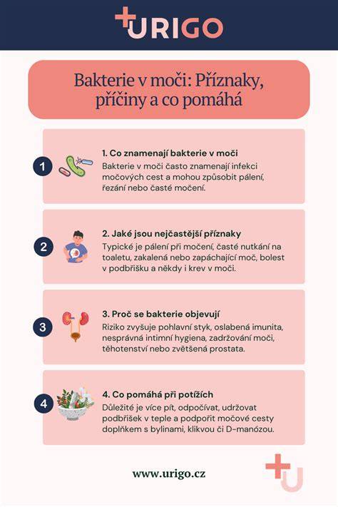 infografika_priciny_a_priznaky.png
