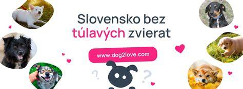 Infografika: Prístupnosť reštaurácií pre vodiacich psov a spoločenské zvieratá