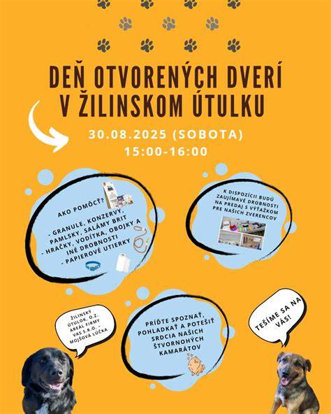 Infografika o procese dočasnej opatery a adopcií psov