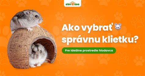 Infografika: Ako vybrať správnu deku pre malé psy (tepelná izolácia, materiál, veľkosť)