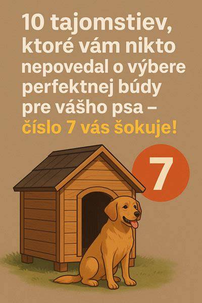 Infografika: Rozmery psej búdy podľa veľkosti psa