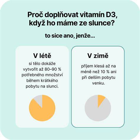 Infografika: zloženie vyváženej diétnej dávky pre veľké plemená