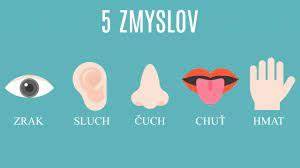 Infografika: Porovnanie piatich hlavných psích zmyslov (čuch, sluch, zrak, hmat, chuť) a ich význam