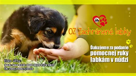 Obrázok tromi prvkami: labka, dátum a kvetina