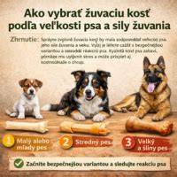 Infografika: Zmyslové vnímanie psa a rozdiely oproti človeku