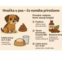Infografika: Zdravie psa - čo sledovať