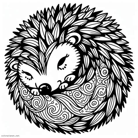 Pes stočený do klbka