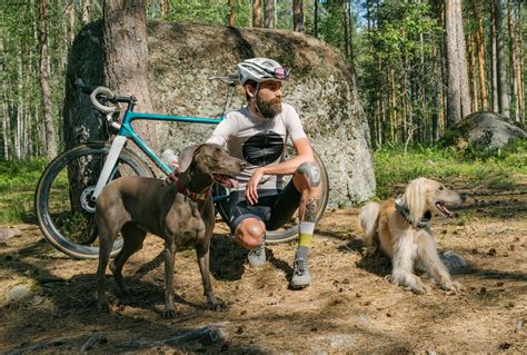 Infografika: Bezpečnostné vybavenie pre bicyklovanie so psom