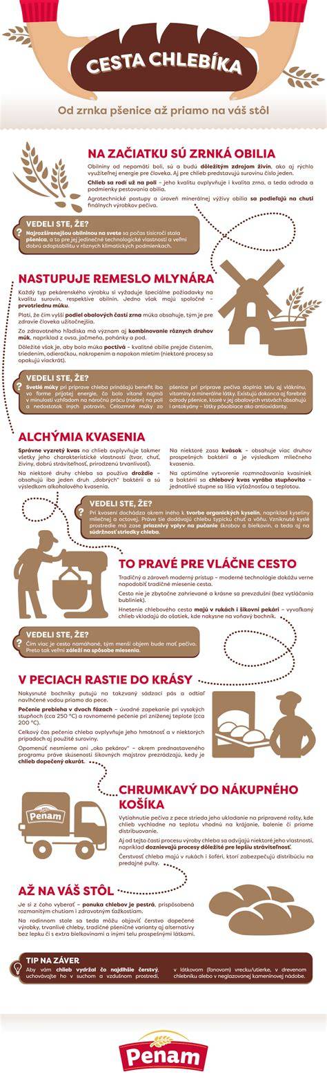 Infografika: cesta šteniatka od narodenia k rodine