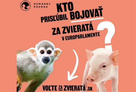 Infografika: Dôležité prvky dobrých životných podmienok zvierat