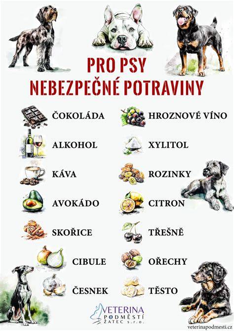 Ilustrácia rastlín a ich toxické účinky na psy