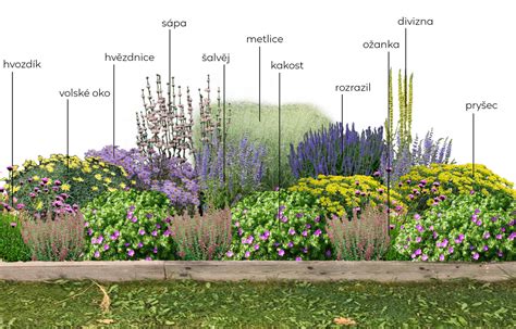 Záhon s okrasnými lupinami