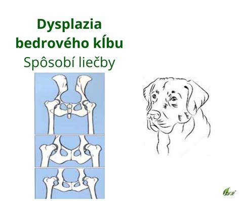 Dysplázia bedrového a lakťového kĺbu u psov: prehľad