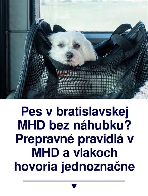 infografika: Vzťah medzi temperomentom a veľkosťou psa vo svorke