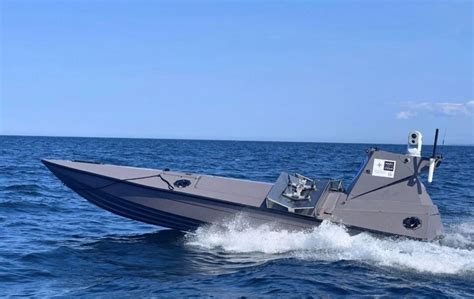 Detailný záber na čínskeho chochlatého psa