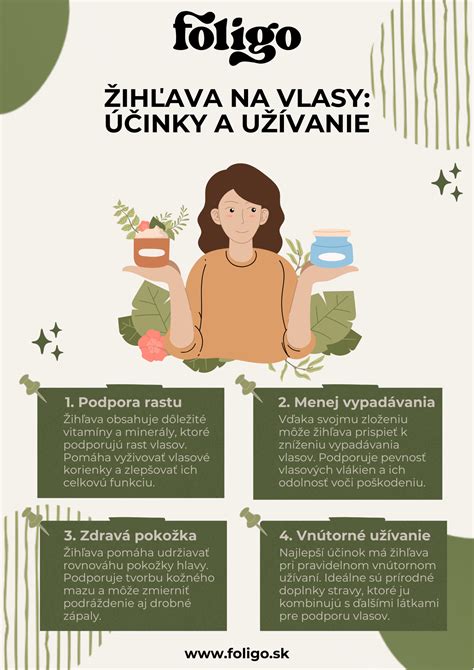 Infografika: postup výcviku aportovania krok za krokom