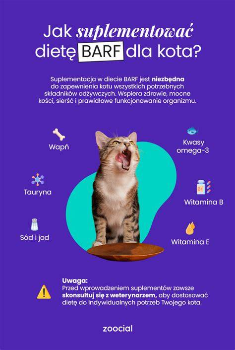 Infografika: BARF pomer zložiek 70/30 a rozdelenie mäsa, kostí a príloh