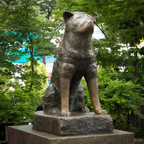Obľúbená bronzová socha Hačika pri stanici Shibuya