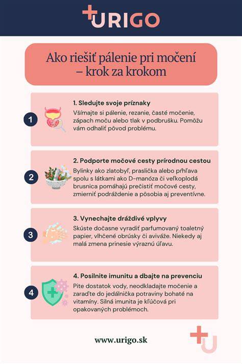 Infografika: Krok za krokom pri zatúlanom psovi (kontrola štítku, čip, kontaktovať útulok)