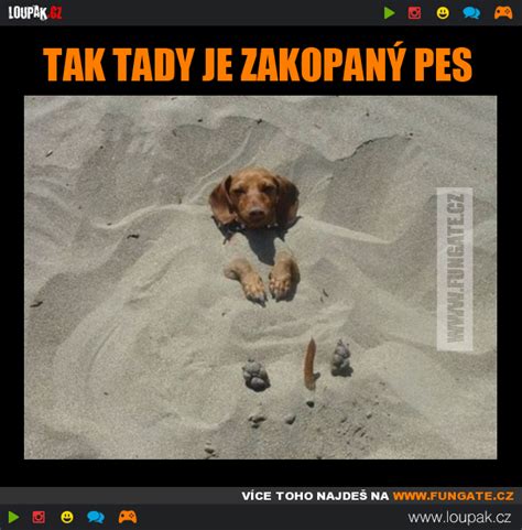 Infografika: Pôvod a význam úslovia „kde je pes zakopaný“